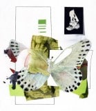 Fiona Ackerman, Catasticta Sibyllea, 2021, oil and acrylic on canvas, 76,2 x 66 cm