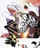 Fiona Ackerman, The Dream, 2021, oil and acrylic on canvas, 91,3 x 76,4 cm