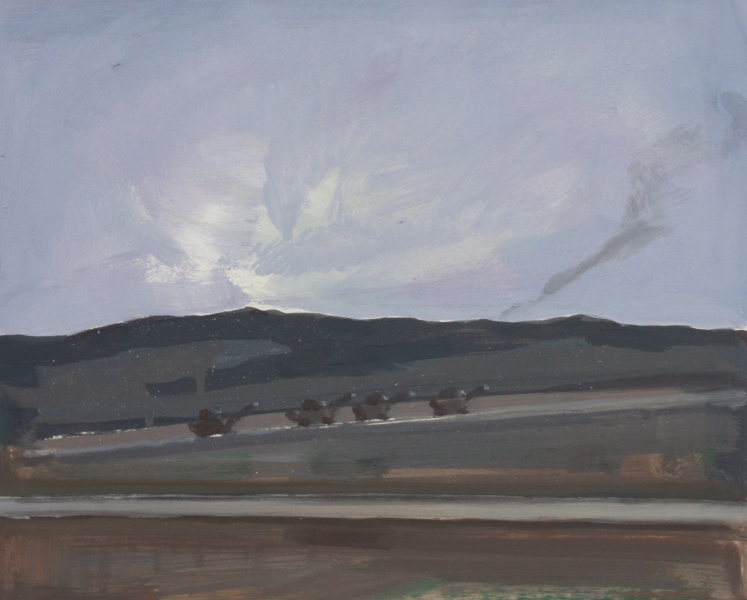Timur Celik, eyewitness