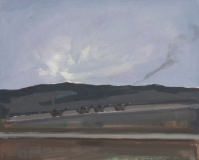 Timur Celik, eyewitness